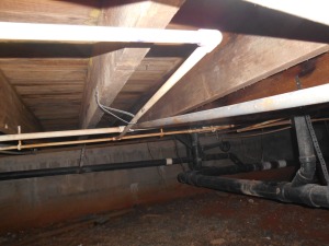 Some of the plumbing completed under the building.